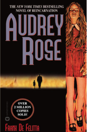 Book Summary Audrey Rose