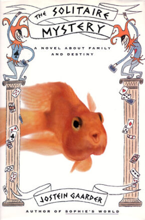 Book Summary The Solitaire Mystery