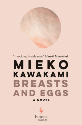 Book Summary Breasts and Eggs