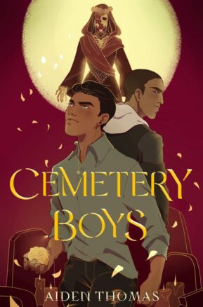 Book Summary Cemetery Boys
