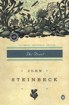 Book Summary The Pearl