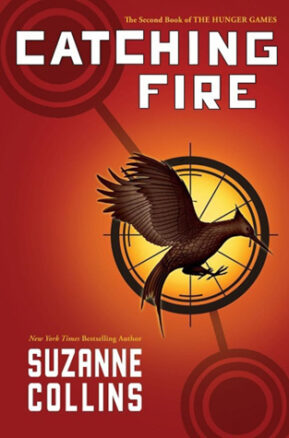Book Summary Catching Fire