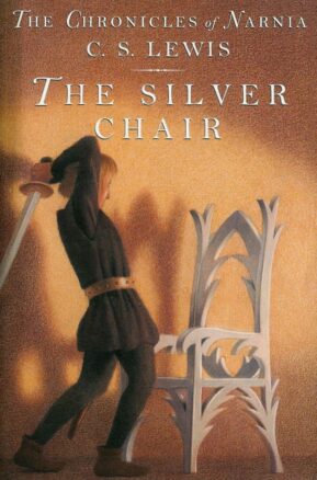 Book Summary The Silver Chair