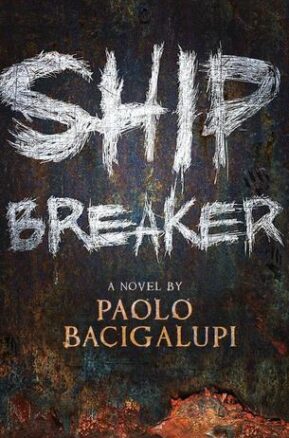 Book Summary Ship Breaker