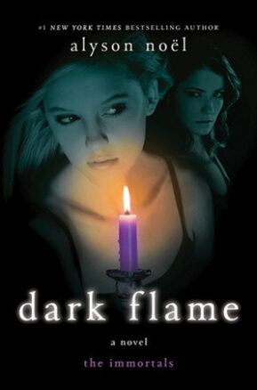 Book Summary Dark Flame