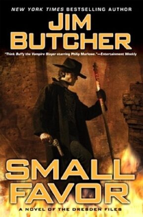 Book Summary Small Favor