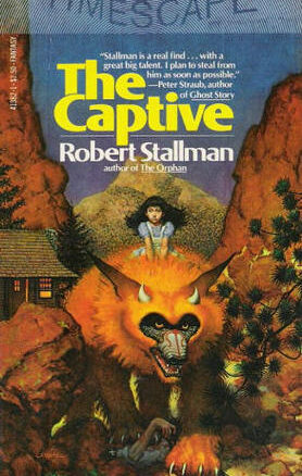 Book Summary The Captive