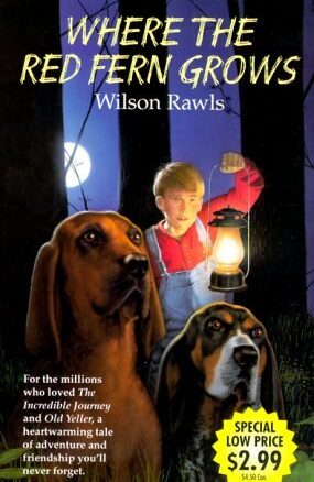 Book Summary Where the Red Fern Grows