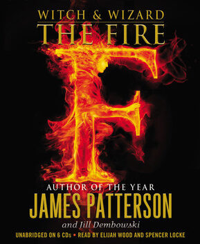 Book Summary The Fire
