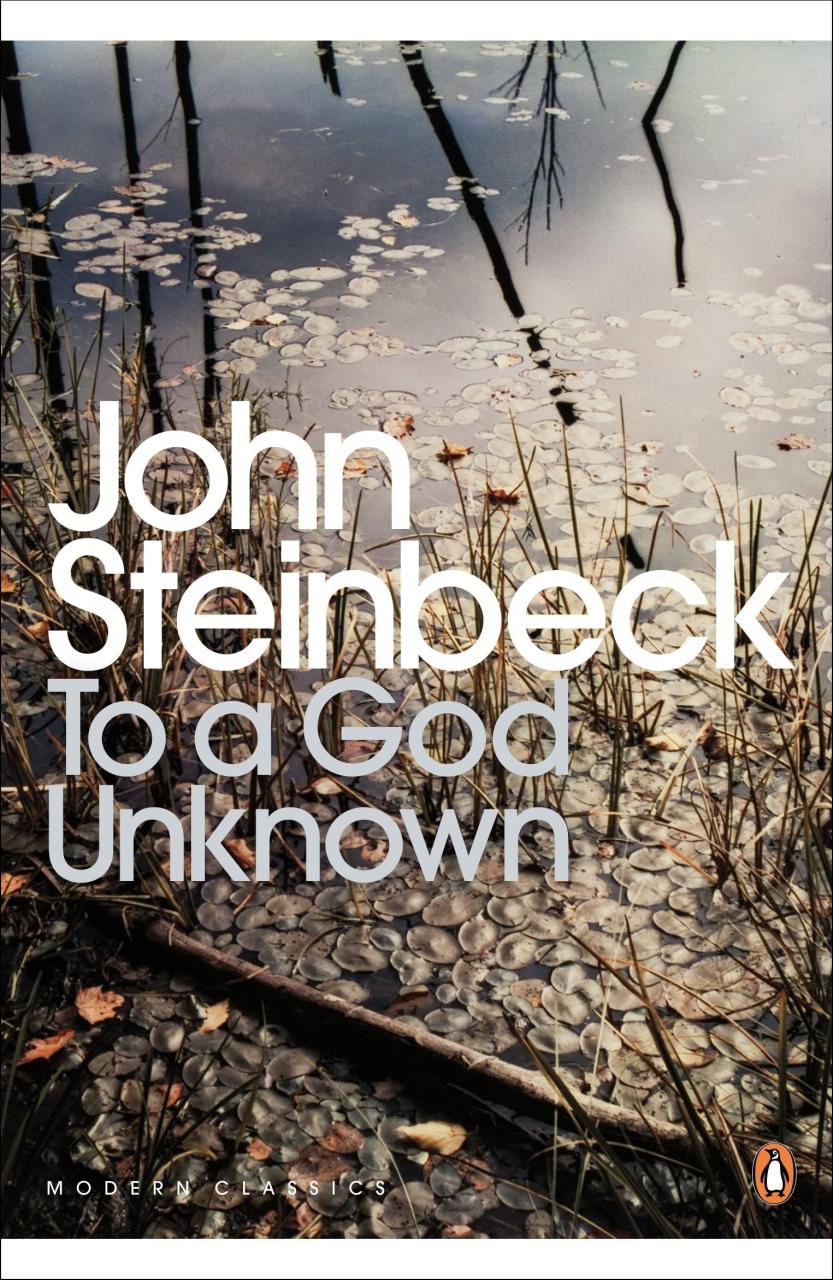 Book Summary To a God Unknown