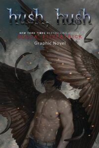 Book Summary Hush, Hush