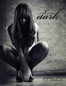 Book Summary Captive in the Dark