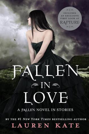 Book Summary Fallen in Love
