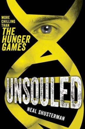 Book Summary UnSouled