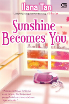 Book Summary Sunshine Becomes You