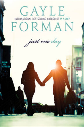 Book Summary Just One Day