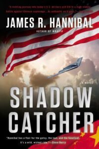 Book Summary Shadow Catcher