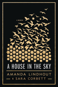 Book Summary A House in the Sky