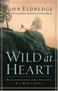 Book Summary Wild at Heart: Discovering the Secret of a Man's Soul