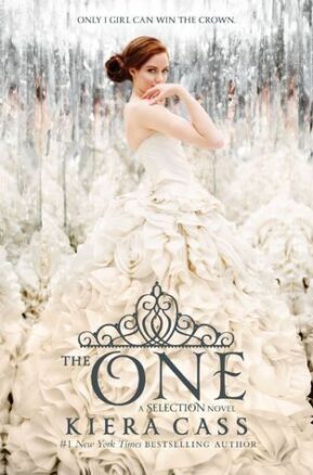 Book Summary The One