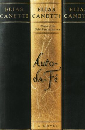 Book Summary Auto-da-Fé