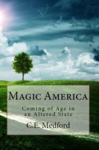 Book Summary Magic America