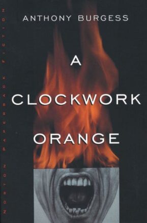 Book Summary A Clockwork Orange