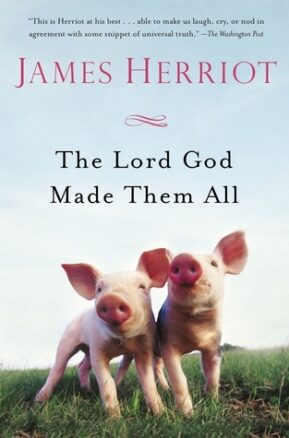 Book Summary The Lord God Made Them All