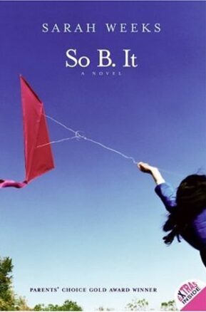 Book Summary So B. It
