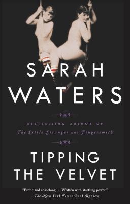 Book Summary Tipping the Velvet