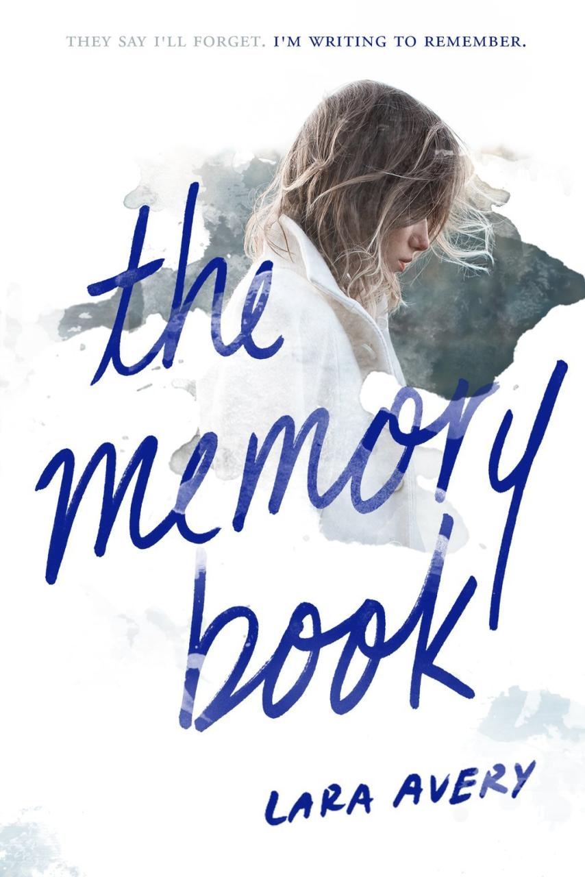 Book Summary The Memory Book