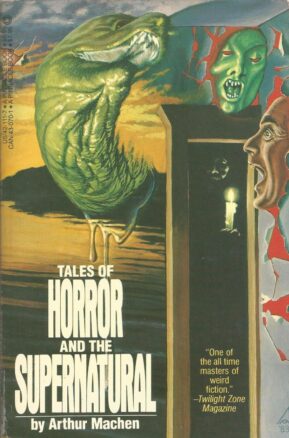 Book Summary Tales of Horror and the Supernatural