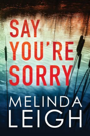 Book Summary Say You're Sorry