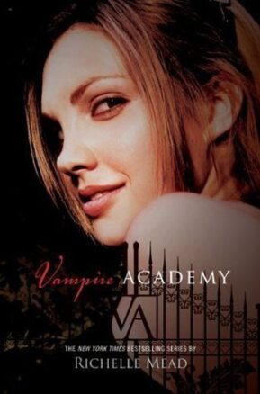 Book Summary Vampire Academy