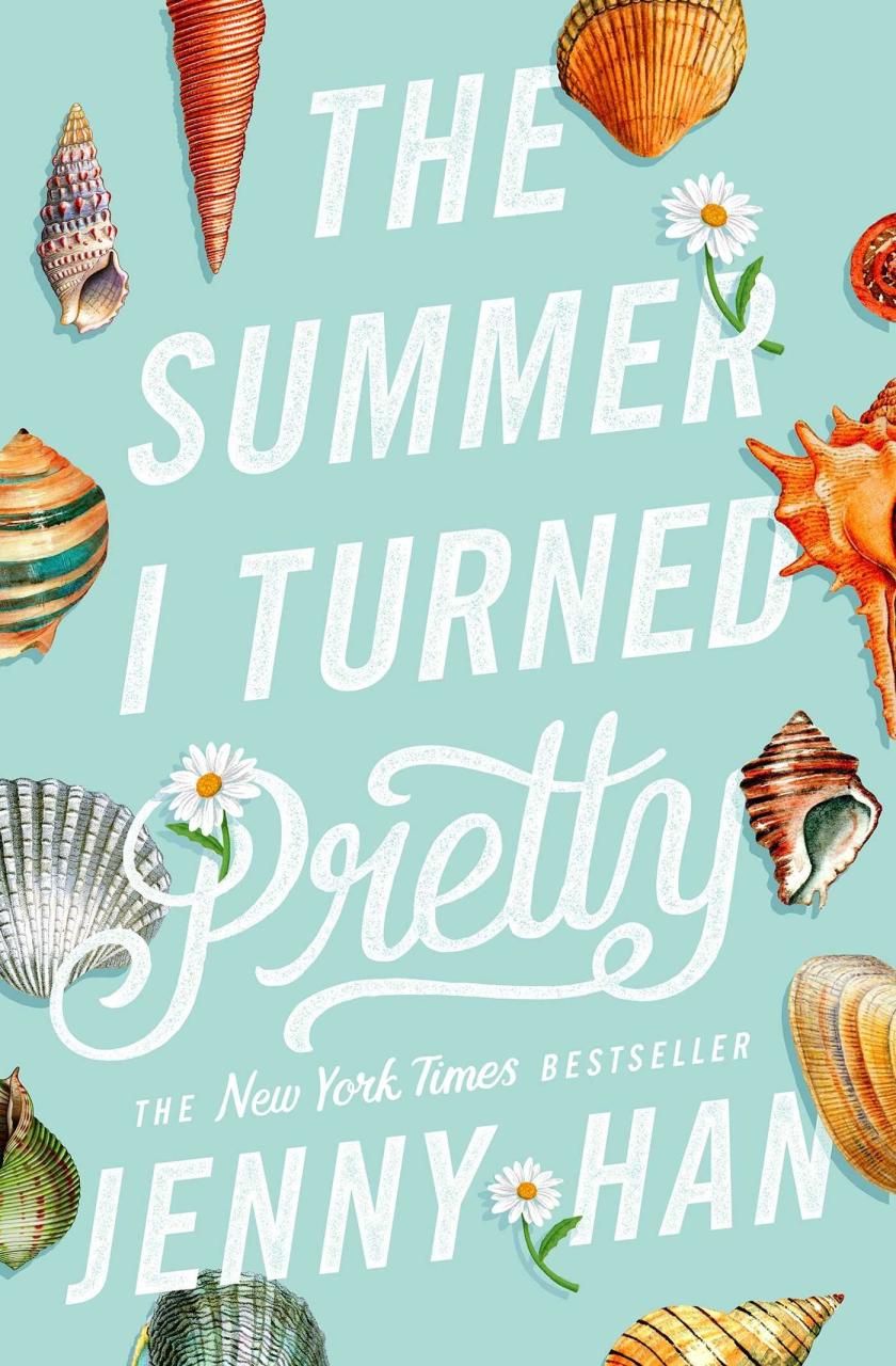 Book Summary The Summer I Turned Pretty