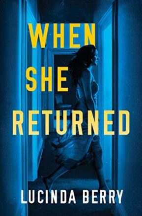 Book Summary When She Returned