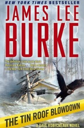 Book Summary The Tin Roof Blowdown