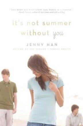 Book Summary It's Not Summer Without You