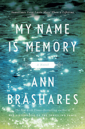 Book Summary My Name Is Memory