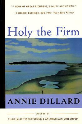 Book Summary Holy the Firm