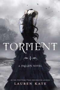 Book Summary Torment