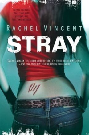 Book Summary Stray