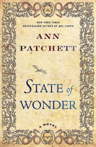 Book Summary State of Wonder