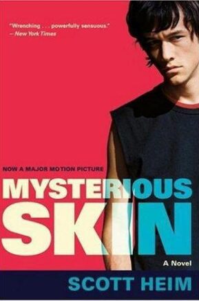 Book Summary Mysterious Skin