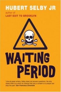 Book Summary Waiting Period