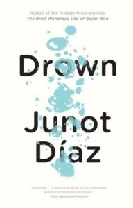 Book Summary Drown