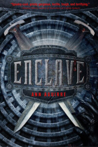 Book Summary Enclave